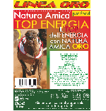 TOP ENERGIA SUPERPREMIUM 32/21